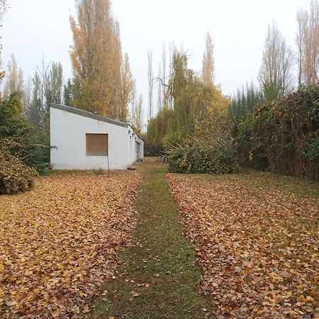 Casa Ramal Villa Lujan de Cuyo Exteriör bild