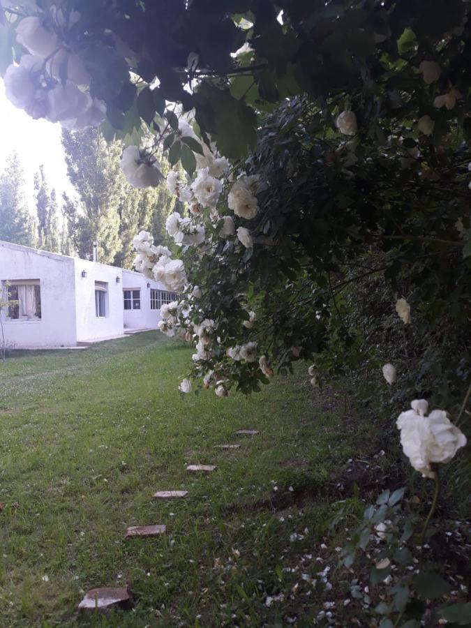 Casa Ramal Villa Lujan de Cuyo Exteriör bild