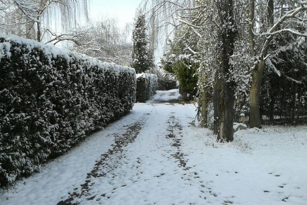 Casa Ramal Villa Lujan de Cuyo Exteriör bild